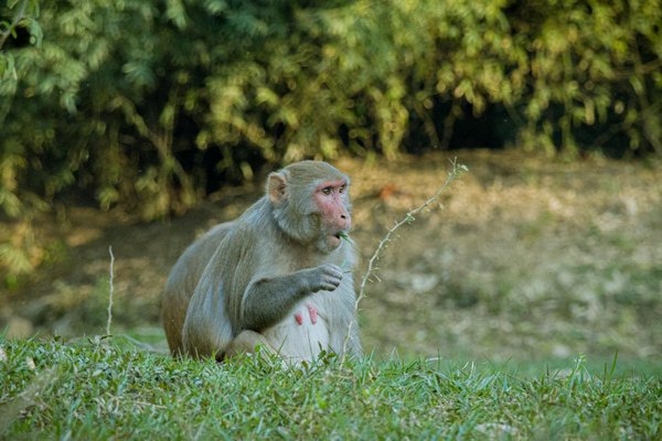 Prix d'un plein pour bateaux de croisière: le guide complet