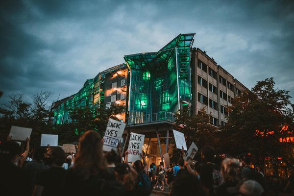 Assurez la santé de vos chiens avec lesmolossesaugrandcoeur.fr