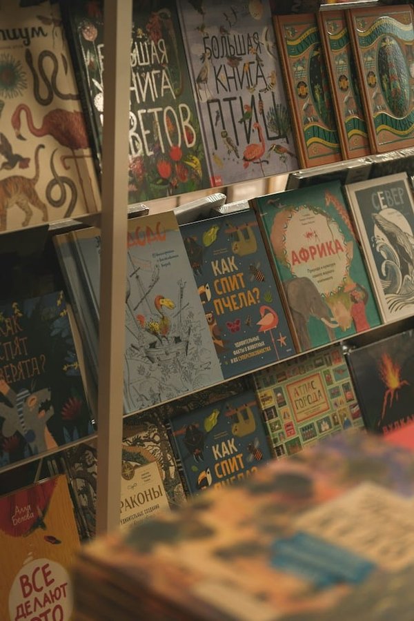 Les librairies spécialisées en BD : une expérience unique