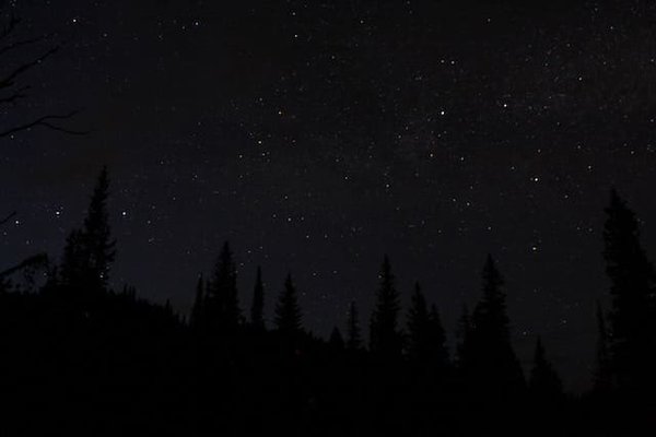 Quelles sont les origines du mouvement Black Lives Matter ?